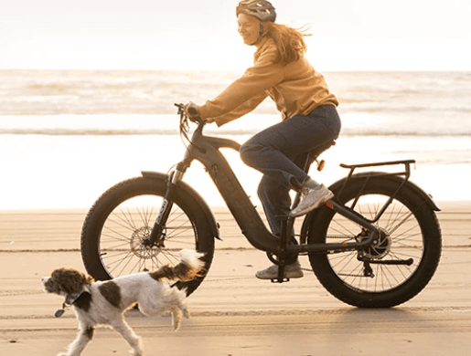 sturdy construction of electric bikes for trails