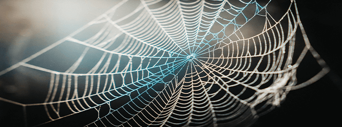 Clipart:3y41ykagago= Spider Web