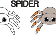 Cute:_6bc_P8otbs= How to Draw a Spider