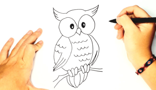 Cute:8hraqghnu_8= How to Draw a Owl