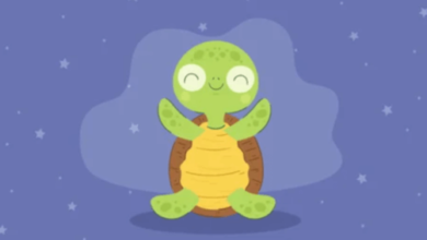 Cute:Avcuk1fbj54= Animated:8rxvseni5e0= Turtle