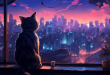 Cute:_U6kih5k3xu= Anime Cat