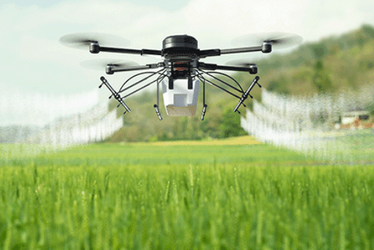 DJI Crop Spraying Drone in Auburn