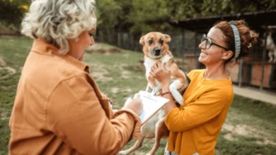 Exotic Animal Rescue Center in Lincoln NE