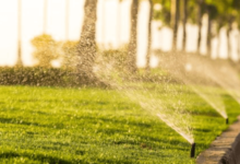 Lawn Sprinkler System Installation Services in Toronto ON