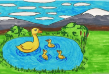 Cute:0v3zhjmo01k= Ducks Drawing