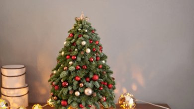 Clipart:_8kjmf_Xvxw= Small Christmas Tree