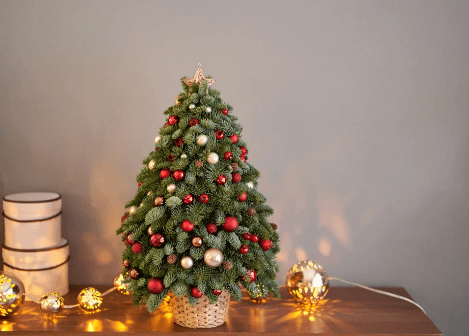 Clipart:_8kjmf_Xvxw= Small Christmas Tree