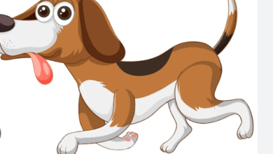 Cute:0luqjfcjcqq= Dog Clipart