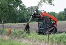 Key Features to Consider When Choosing a Tree Puller