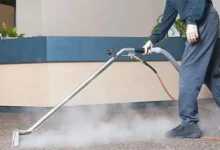 How Professional Carpet Care Enhances Workplace Hygiene in Delaware