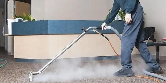 How Professional Carpet Care Enhances Workplace Hygiene in Delaware