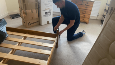 The Environmental Impact of Removals in Bristol and How to Reduce It