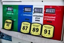 apex surge start fueling innovation