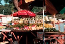 elevation prism start shaping market opportunities