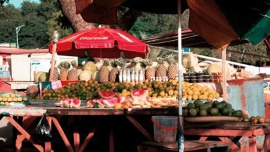 elevation prism start shaping market opportunities