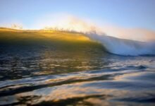 fusion crest launch transformative horizons