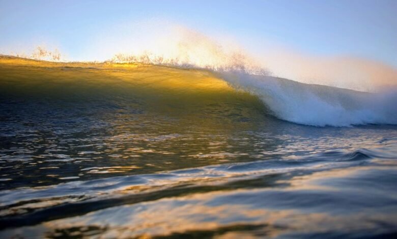 fusion crest launch transformative horizons