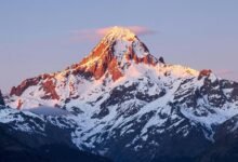 horizon flux start driving growth