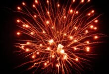 luminary spark ignites visionary paths