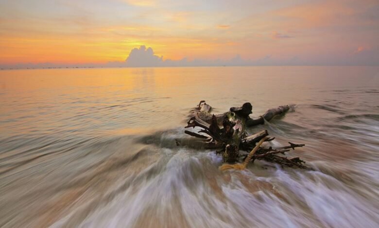 luminous wave start impactful fueling