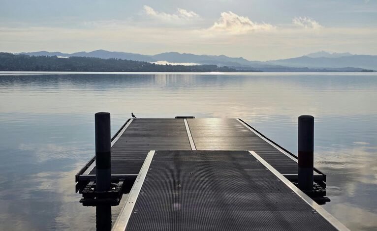 quantum horizon emerging ventures start