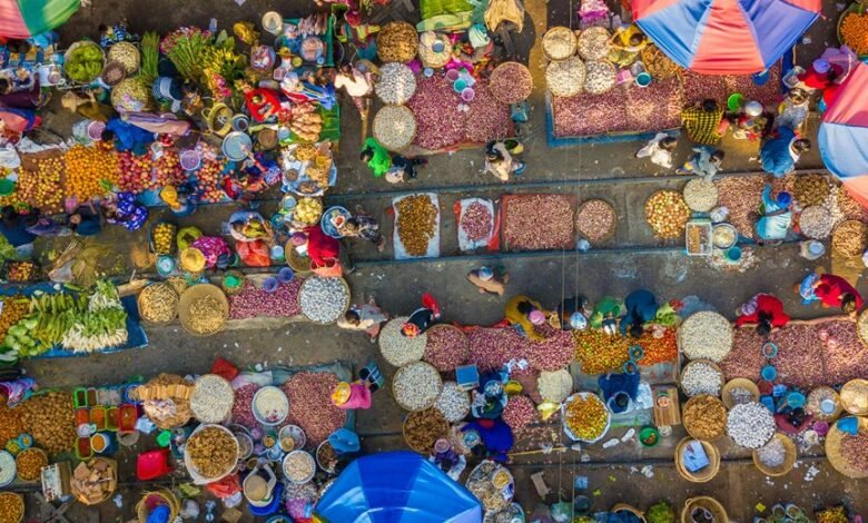 stellar arc start unlocking