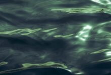 stellar flow start potential shaping