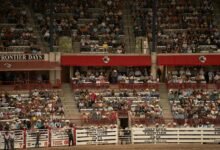 stellar horizon start 8558348495