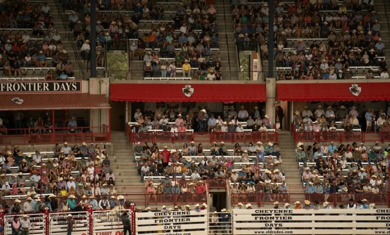 stellar horizon start 8558348495