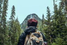 trailblazing flux start across ventures