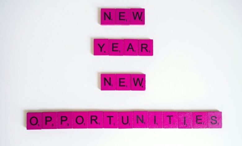 visionary flux start opportunities global