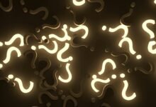 random keyword insight hub