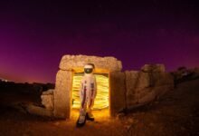 social username discovery portal identity searches