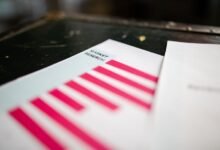 public registry report identifiers requested