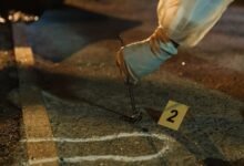 registry investigation ids listed