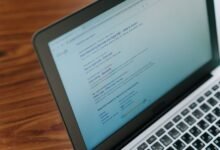 registry search results for five ids