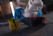 verified registry evidence numbers listed