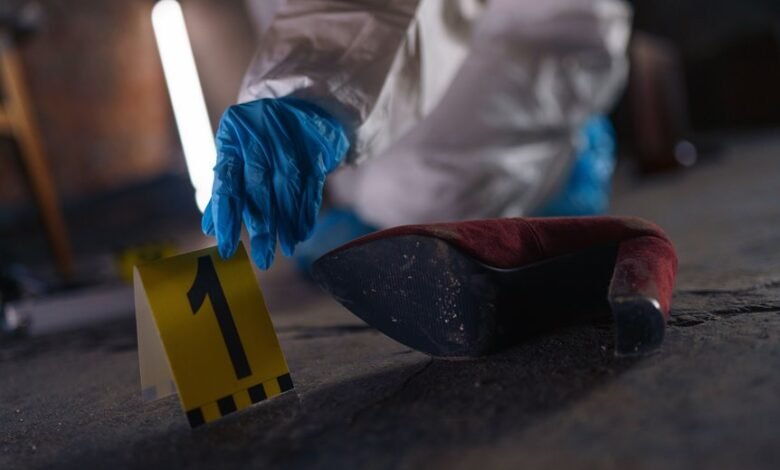 verified registry evidence numbers listed