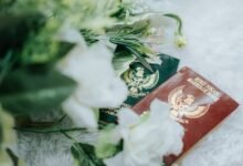 verified registry references for given ids
